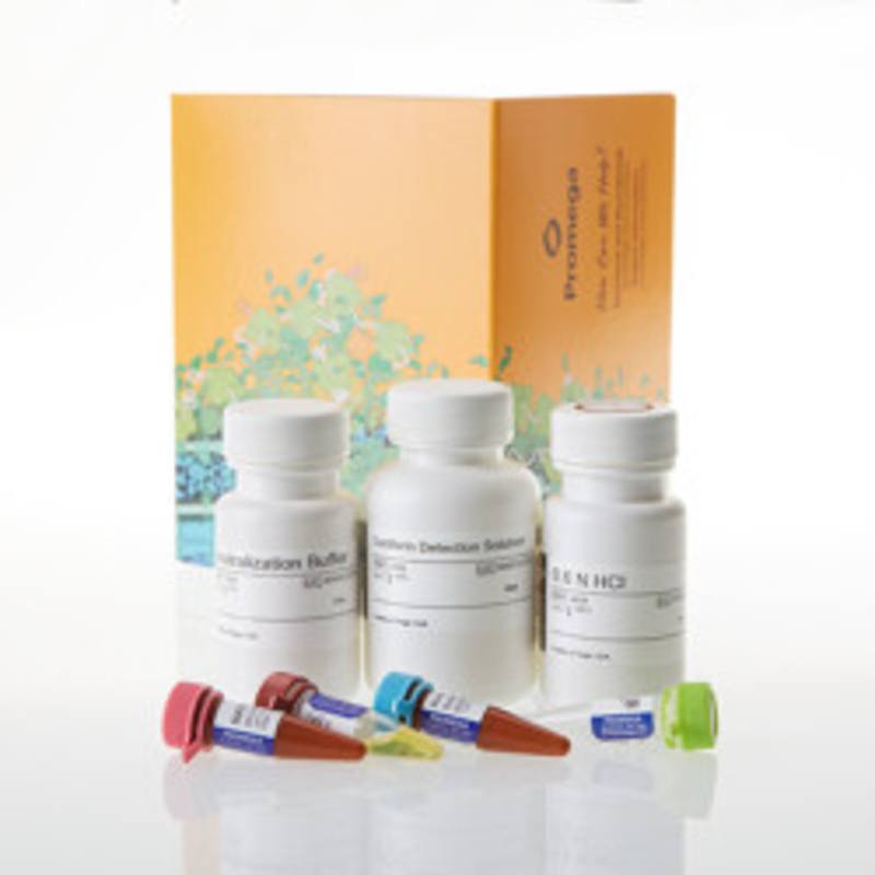 Metabolite-Glo(TM) Detection System, 50ml
