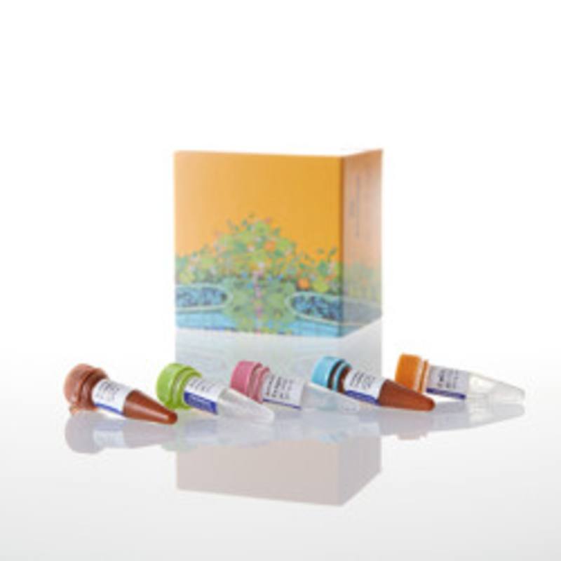 RealTime-Glo(TM) Annexin V Apopt and Nec Assay, 1000 assays