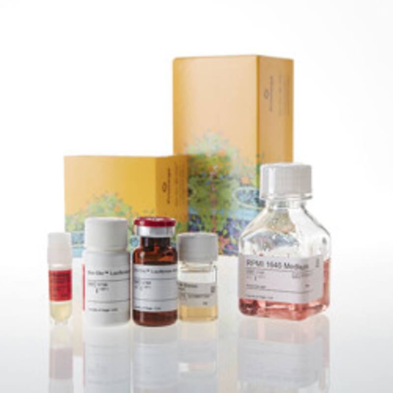 CD40 Bioassay