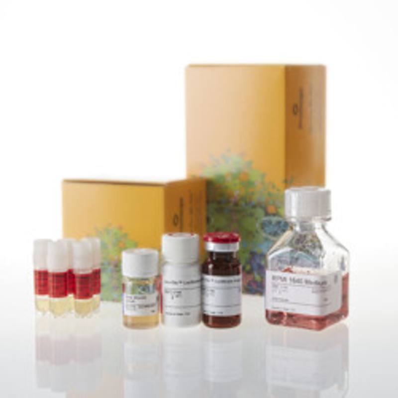 CD40 Bioassay 5X