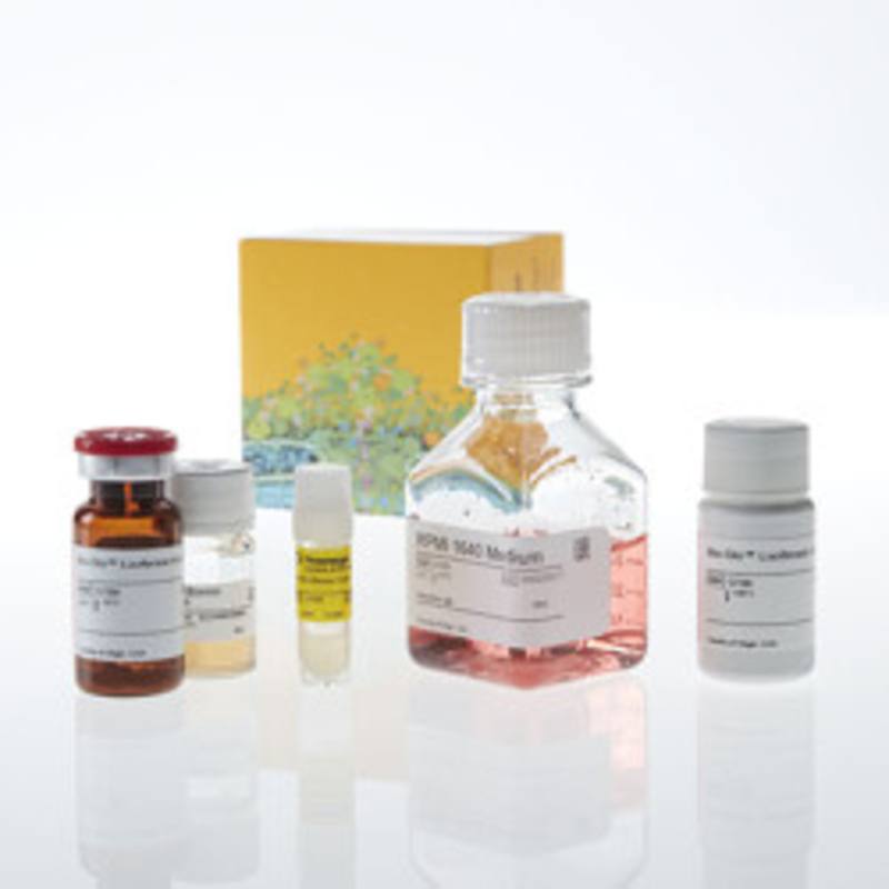 OX40 Bioassay