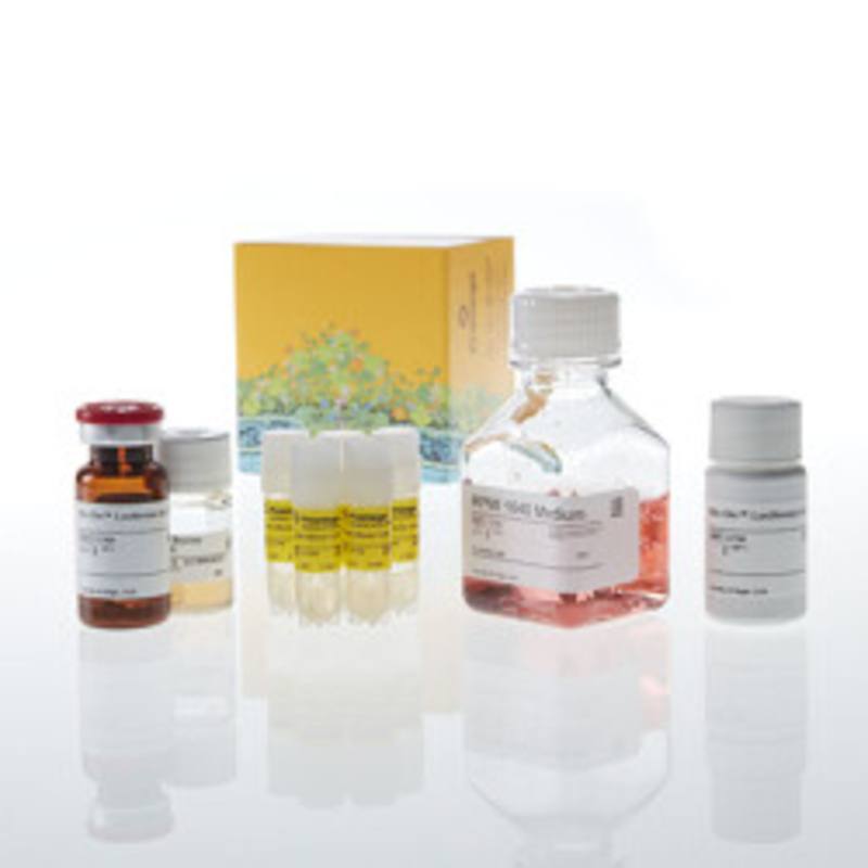 OX40 Bioassay 5X
