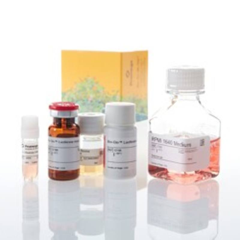 IL-2 Bioassay