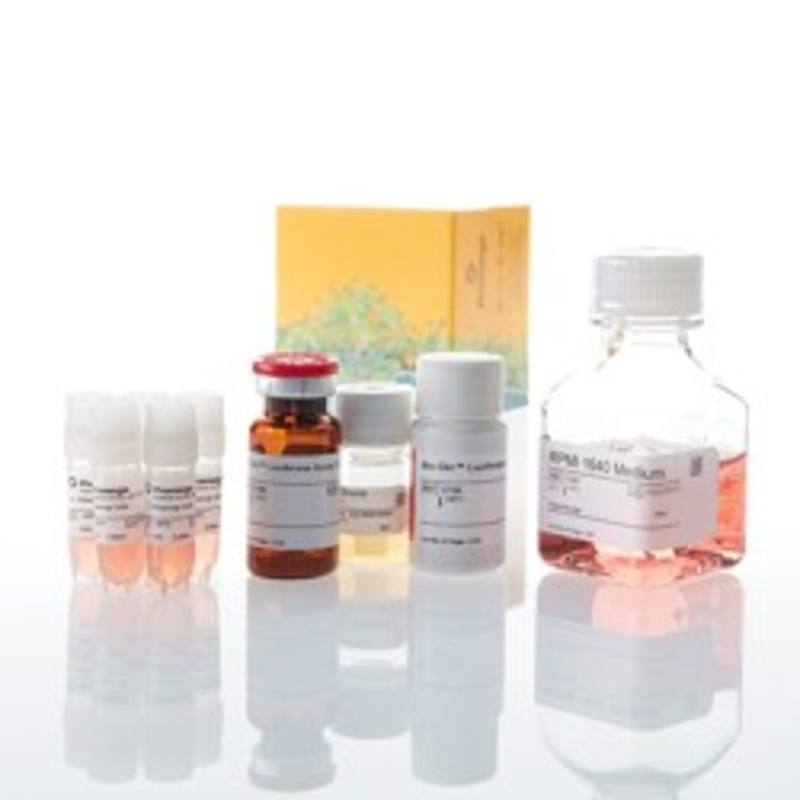 IL-2 Bioassay, 5X