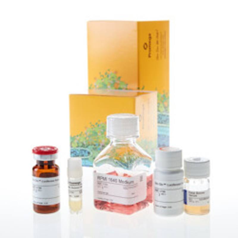 RANKL Bioassay