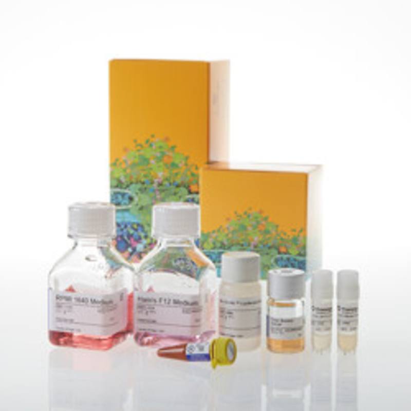 ICOS Blockade Bioassay