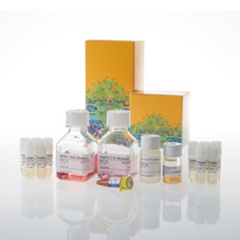 ICOS Blockade Bioassay 5X
