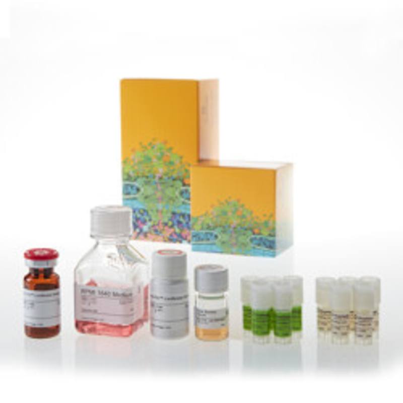CD28 Blockade Bioassay 5X