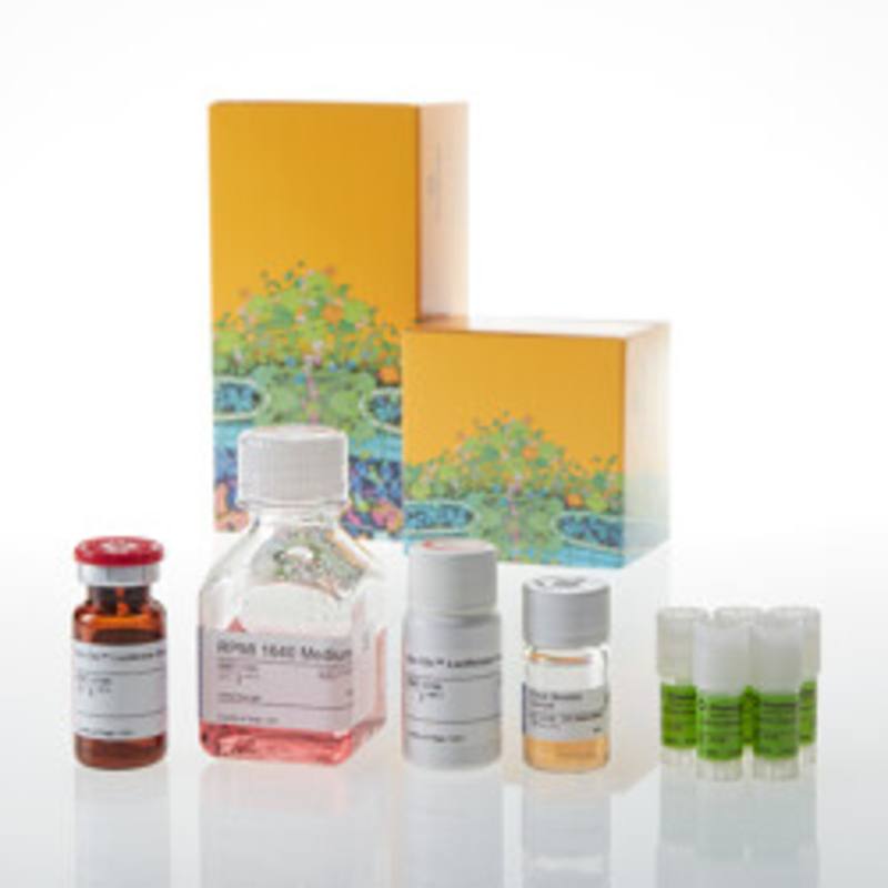 CD28 Bioassay, Core Kit 5X