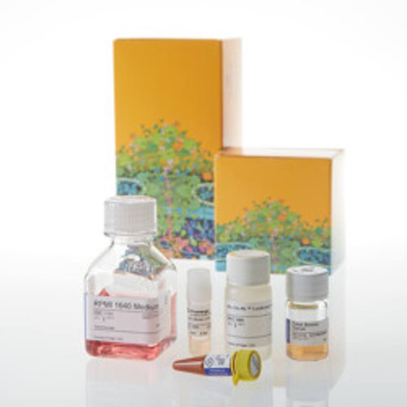 ICOS Bioassay Core Kit