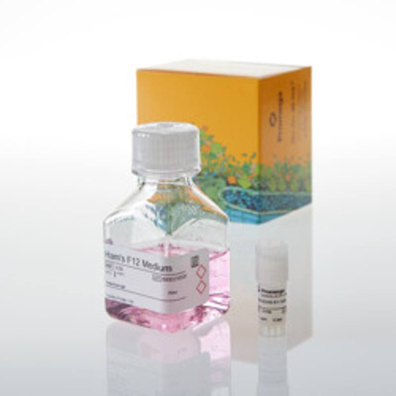aAPC/CHO-K1 Cells