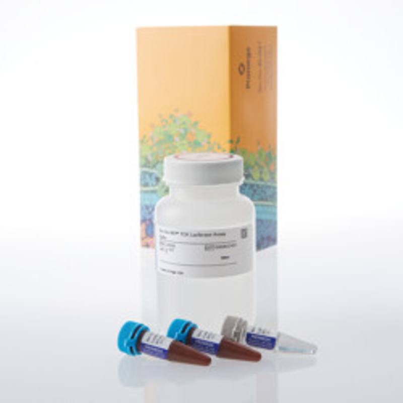 Bio-Glo-NB(TM) TCK Luciferase Assay System, 100ml