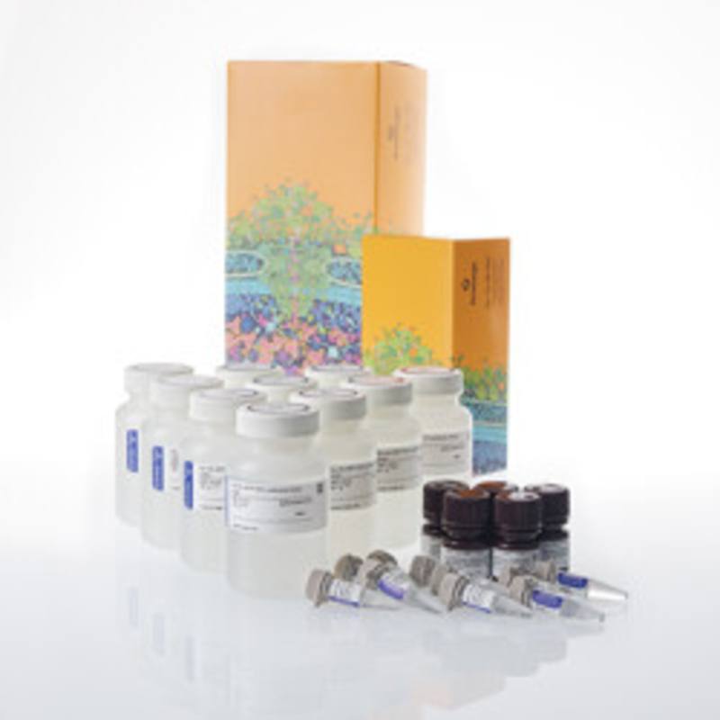 Bio-Glo-NB(TM) TCK Luciferase Assay System, 10x100ml