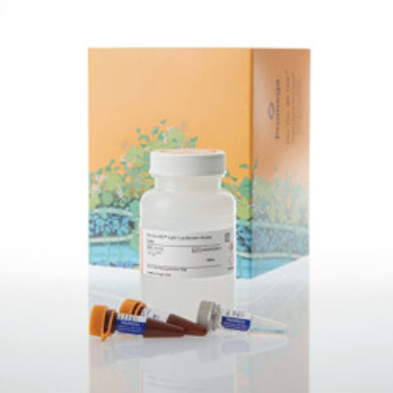 Bio-Glo-NB(TM) Lytic Luciferase Assay System, 100ml