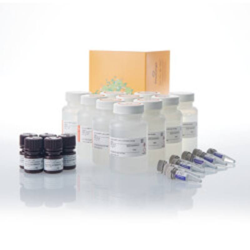 Bio-Glo-NB(TM) Lytic Luciferase Assay System, 10x100ml