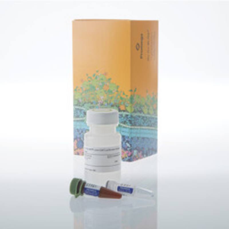 Bio-Glo-NB(TM) VLP Luciferase Assay System, 25ml