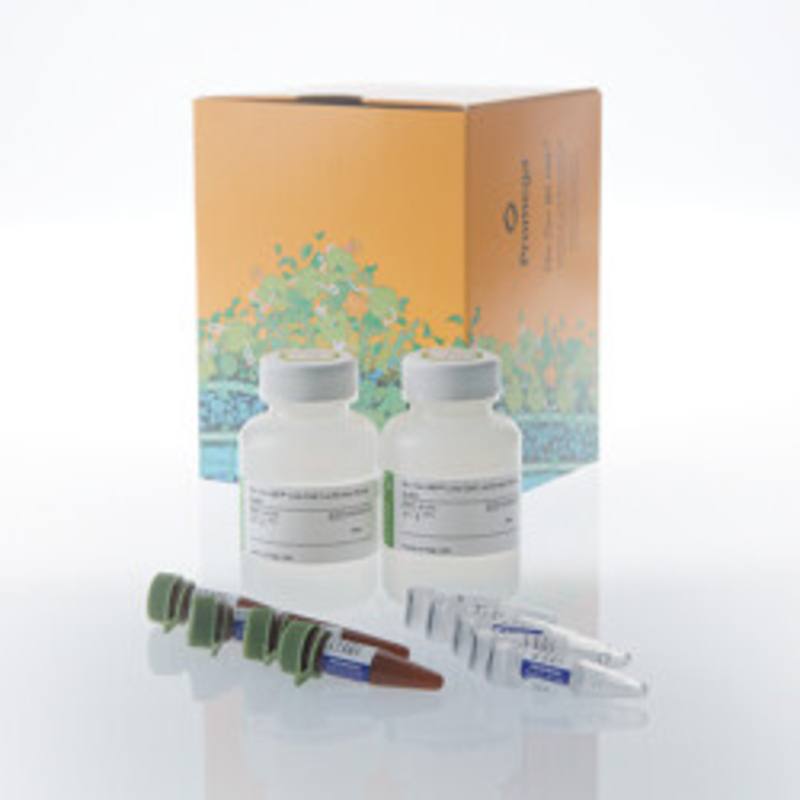 Bio-Glo-NB(TM) VLP Luciferase Assay System, 10x100ml