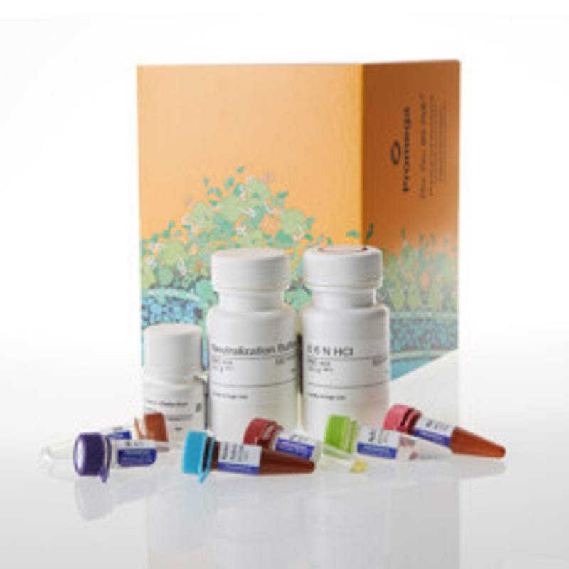 Malate-Glo(TM) Assay, 5ml