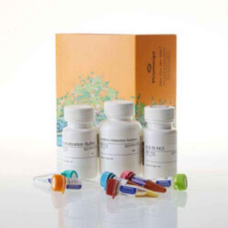 BHB-Glo(TM) (Ketone Body) Assay, 50ml