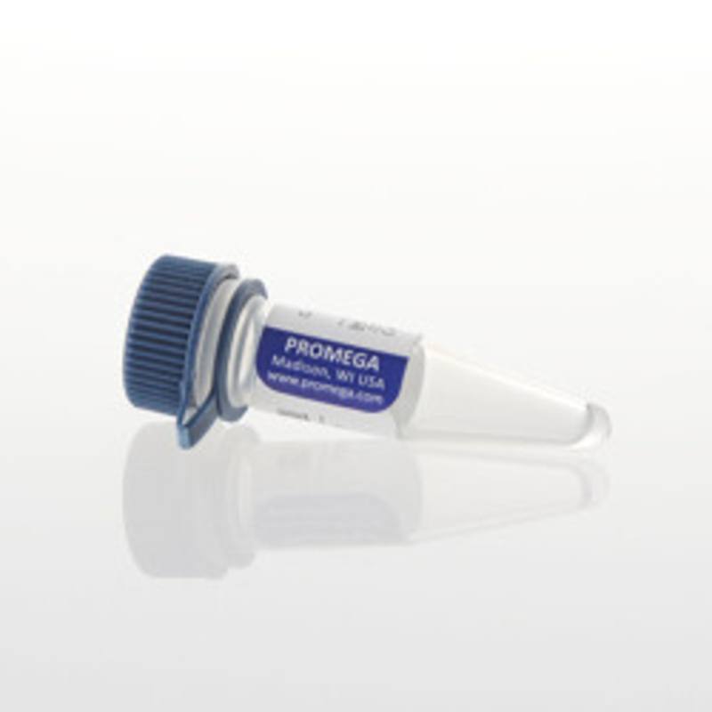 Control Ab, Anti-CD40