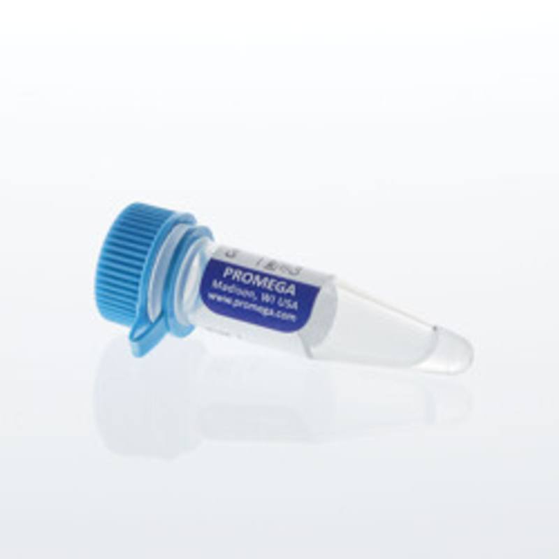 Control Ab, Anti-OX40