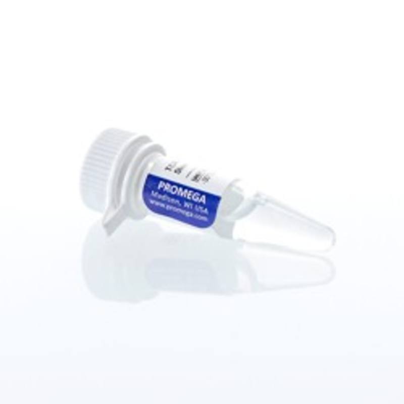 TCR Activating Antigen Stock Solution, 500ul