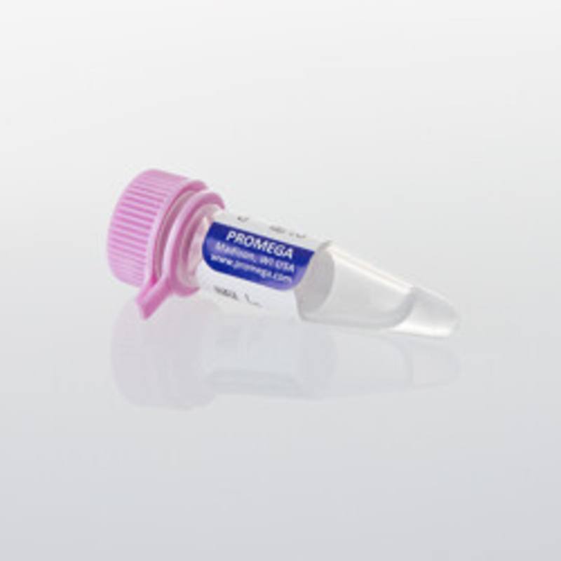 Control Ab, Anti-SIRPalpha