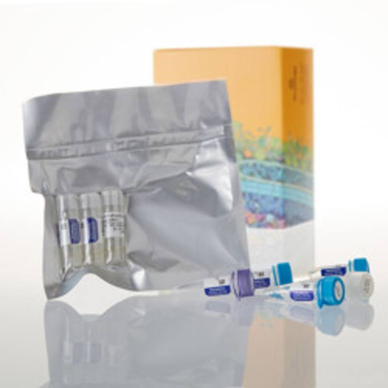 S30 T7 High-Yield Protein Expression System, 24 reaction