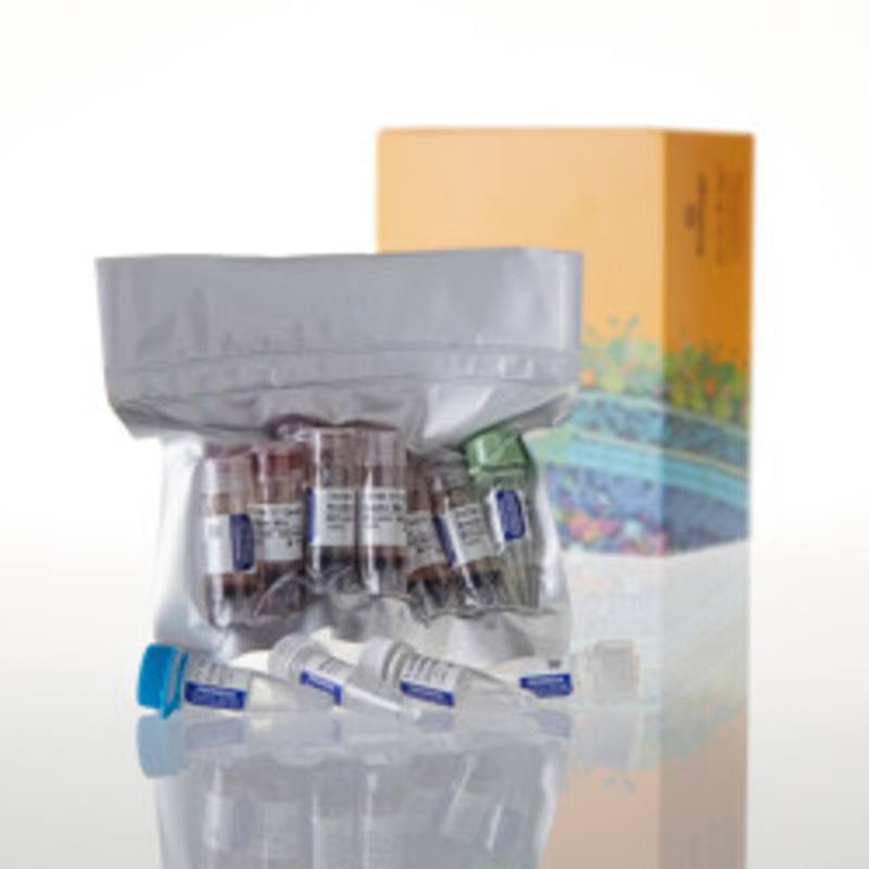 TNT(R) T7 Quick Coupled Transcription/Translation System
