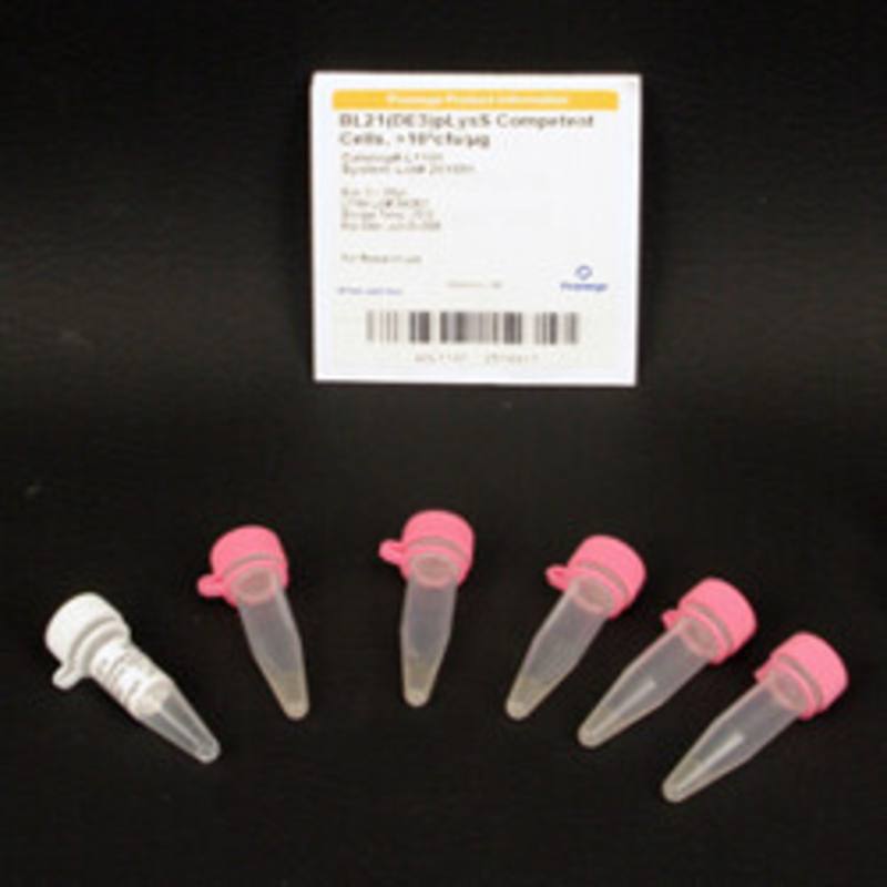BL21(DE3)pLysS Competent Cells >10x6 cfu/ug, 1ml