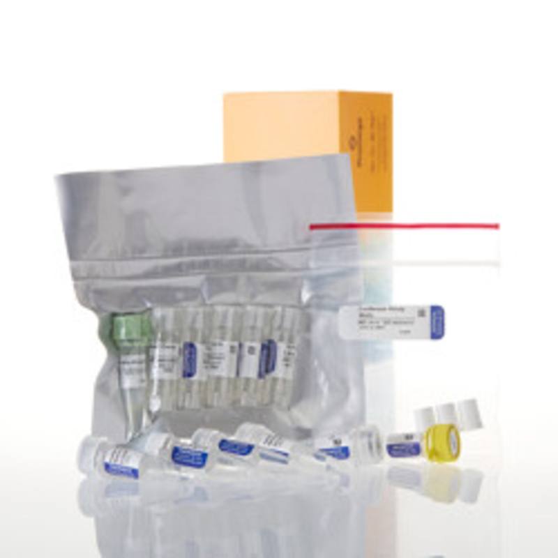 TNT(R) SP6 Coupled Wheat Germ Extract System