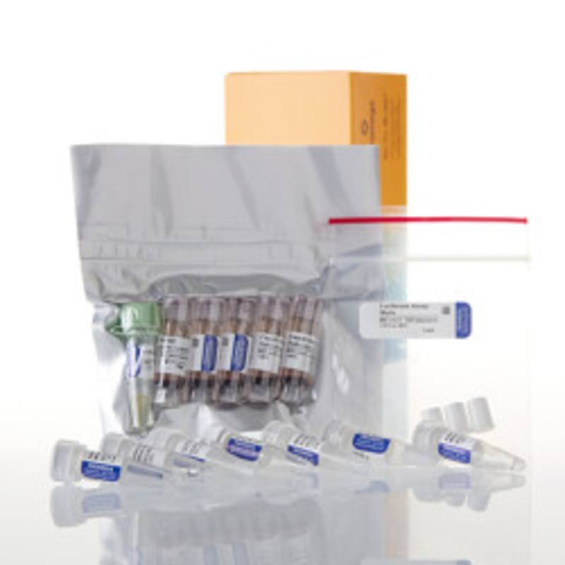 Flexi(R) Rabbit Reticulocyte Lysate System, 1ml