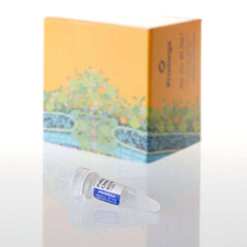 Potassium Chloride, 2.5M, 200ul