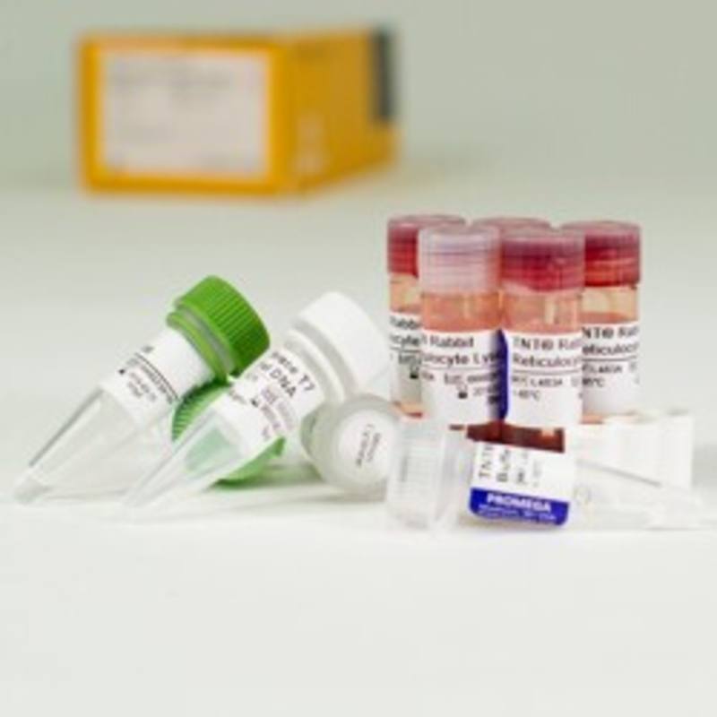 TNT(R) T7 Coupled Reticulocyte Lysate System