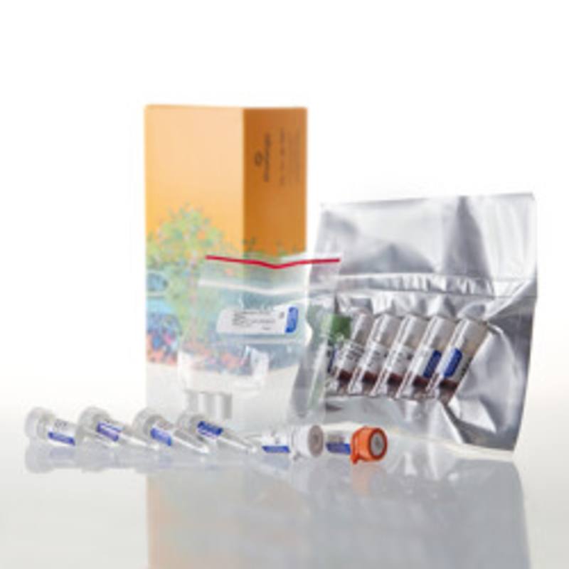 TNT(R) T3 Coupled Reticulocyte Lysate System