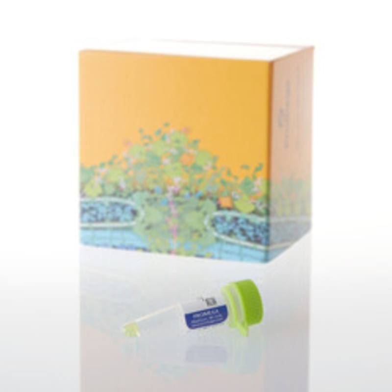 FluoroTect(TM) Green(Lys) In Vitro Translation Labeling Sys