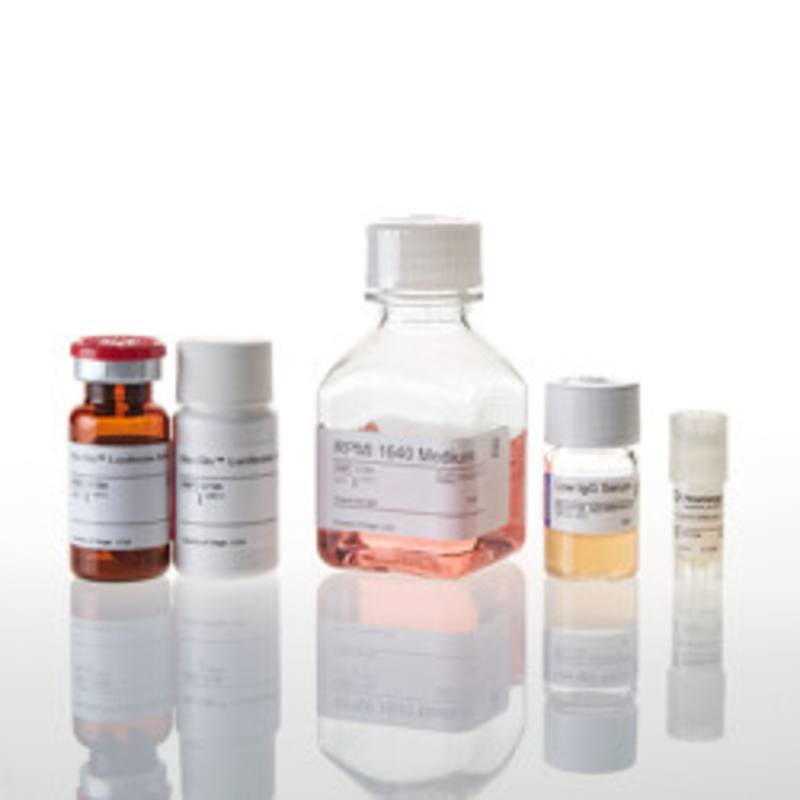 mFcgammaRIV ADCC Reporter Bioassay, Core Kit