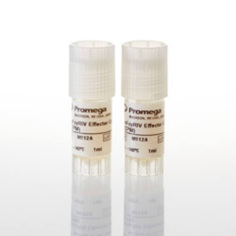 mFcgammaRIV ADCC Bioassay Effector Cells, Propagation Model