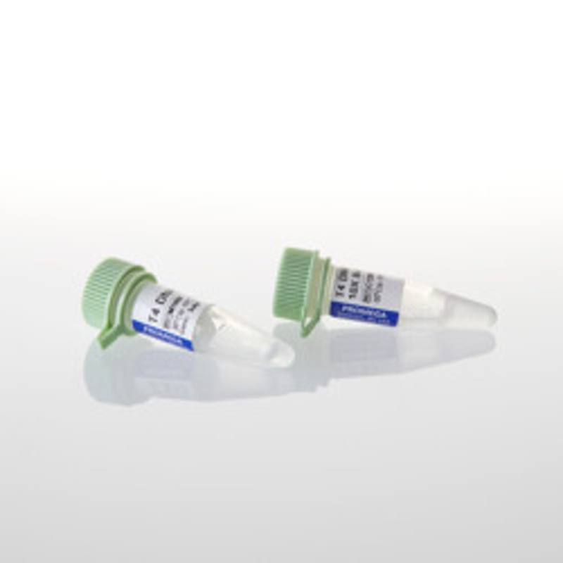 T4 DNA Ligase, 100u
