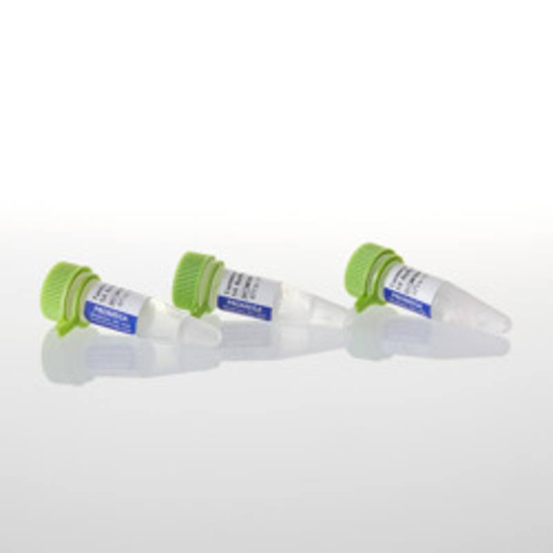 Terminal Transferase Buffer Pack