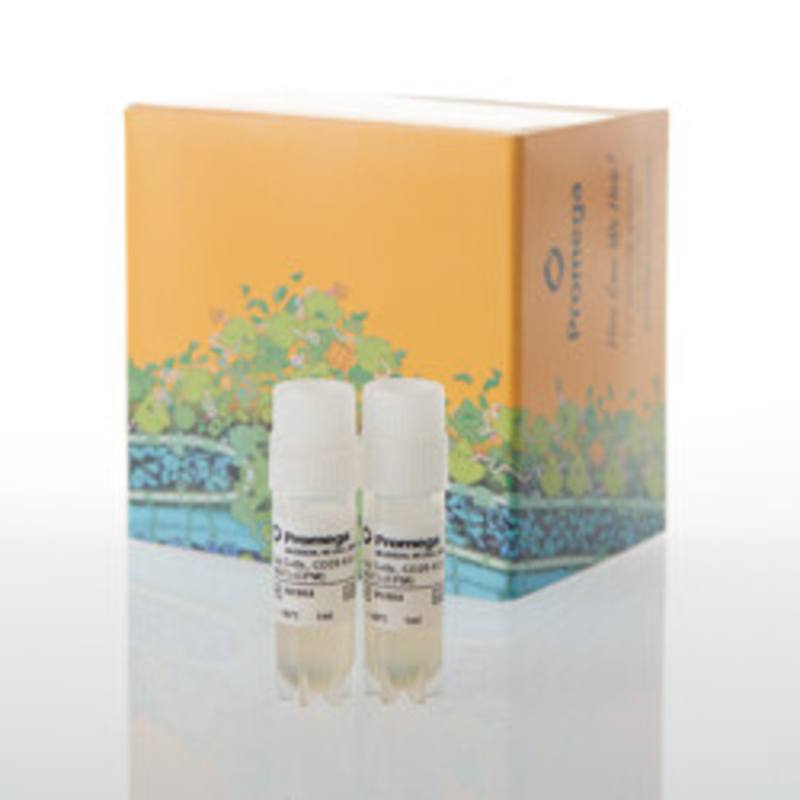 Raji (LDH-HiBiT) CD20-KO TCK Bioassay, CPM