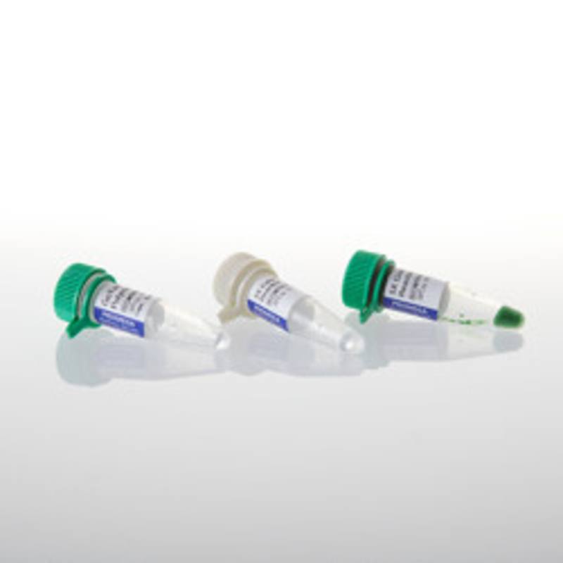 GoTaq(R) DNA Polymerase, 100u