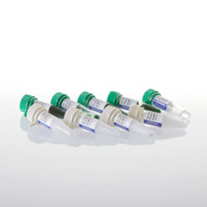 GoTaq(R) DNA Polymerase, 500u