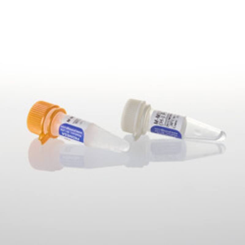 M-MLV RT RNase (H-) Point Mutant, 2,500u