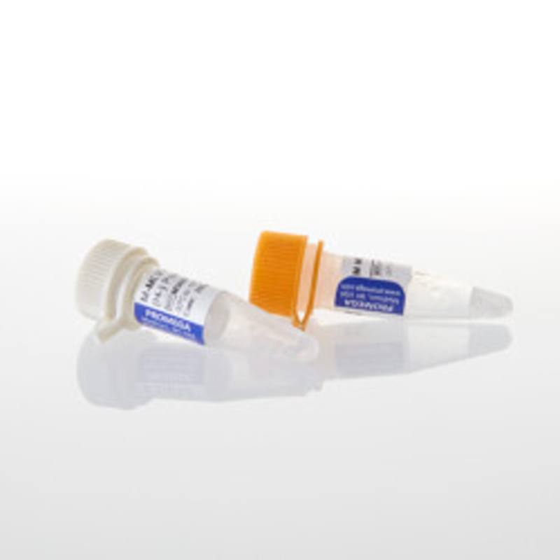 M-MLV RT RNase (H-) PointMutant, 10,000u