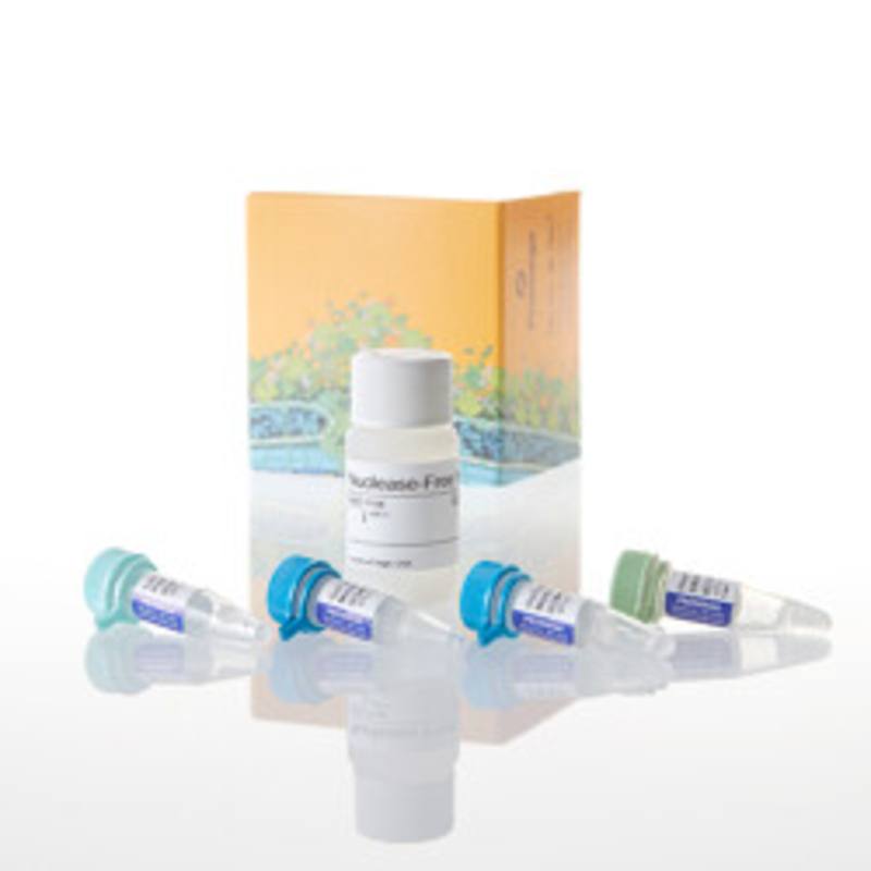 GoTaq(R) Long PCR Master Mix