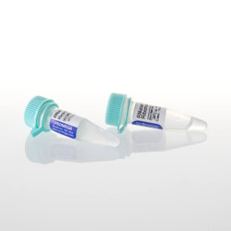 RNase ONE(TM) Ribonuclease, 1,000u