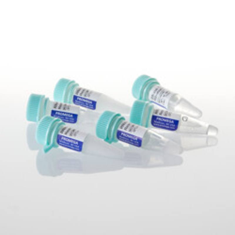 RNase ONE(TM), 5,000u