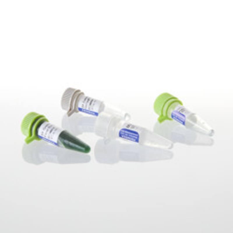 GoTaq(R) Hot Start Polymerase, 100u