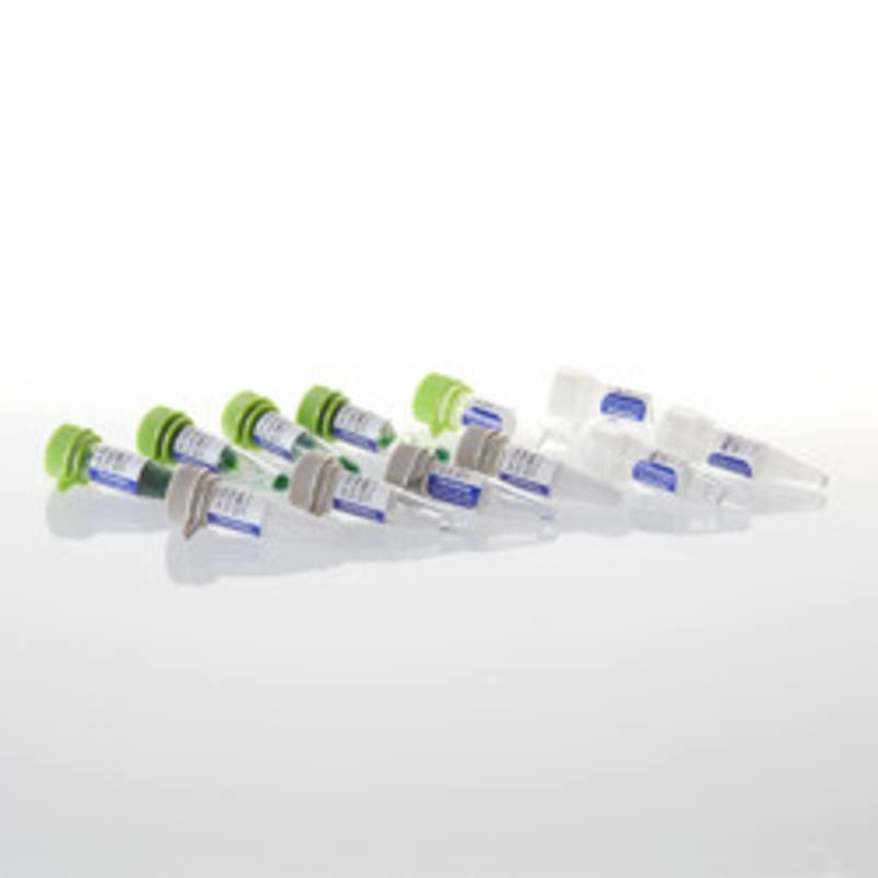 GoTaq(R) Hot Start Polymerase, 500u